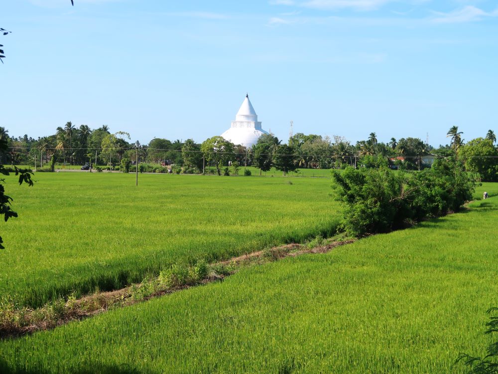 田園風景