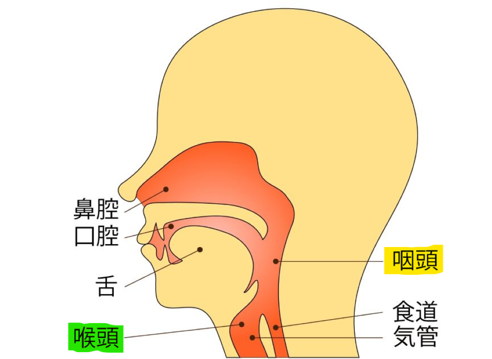 のど